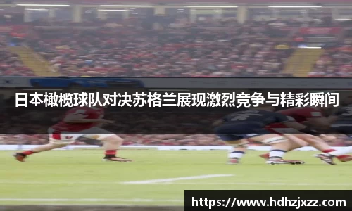 leyu乐鱼体育